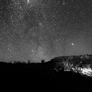 在线观看91免费99视频
